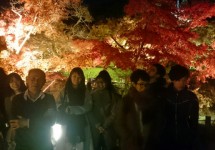 秋のライトアップ京都の永観堂に行って来ました！